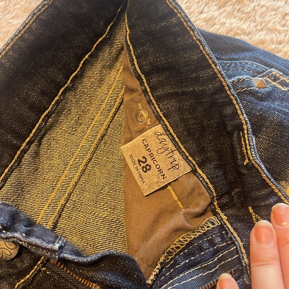 Buckle Daytrip Women’s shorts - Picture 2 of 4